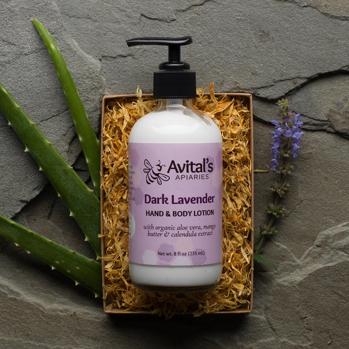 Organic Aloe & Mango Butter Lotion: Dark Lavender