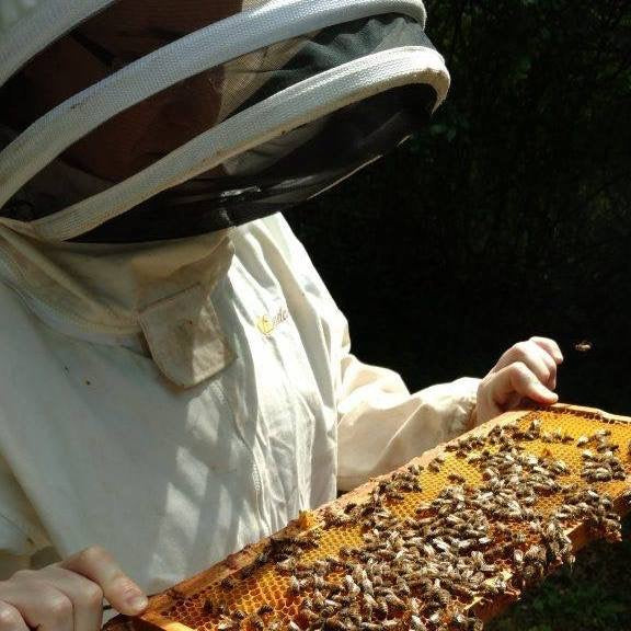 An Experimental Year