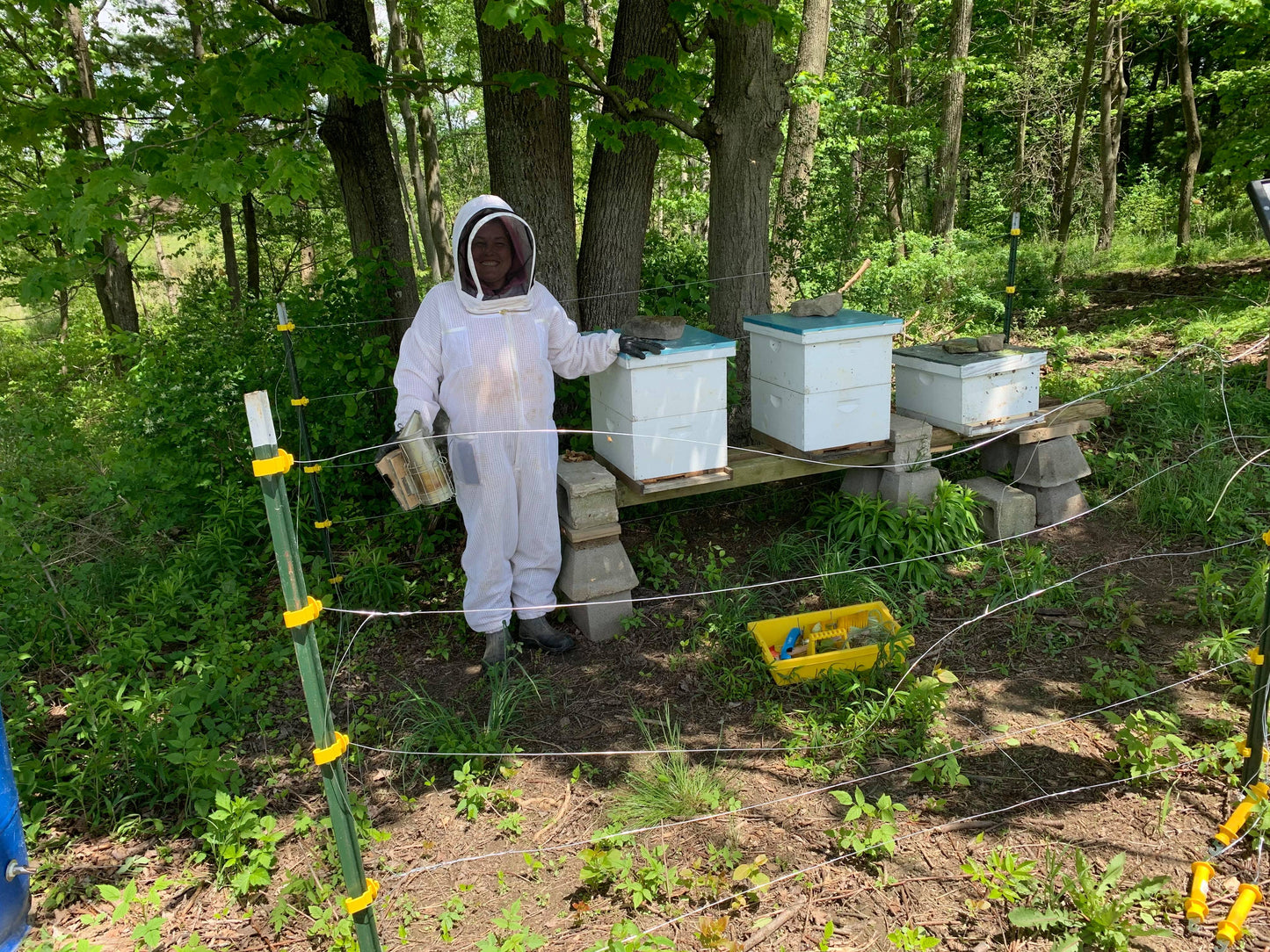 Joanna in full beekeeping white suit standing next to three white beehives.