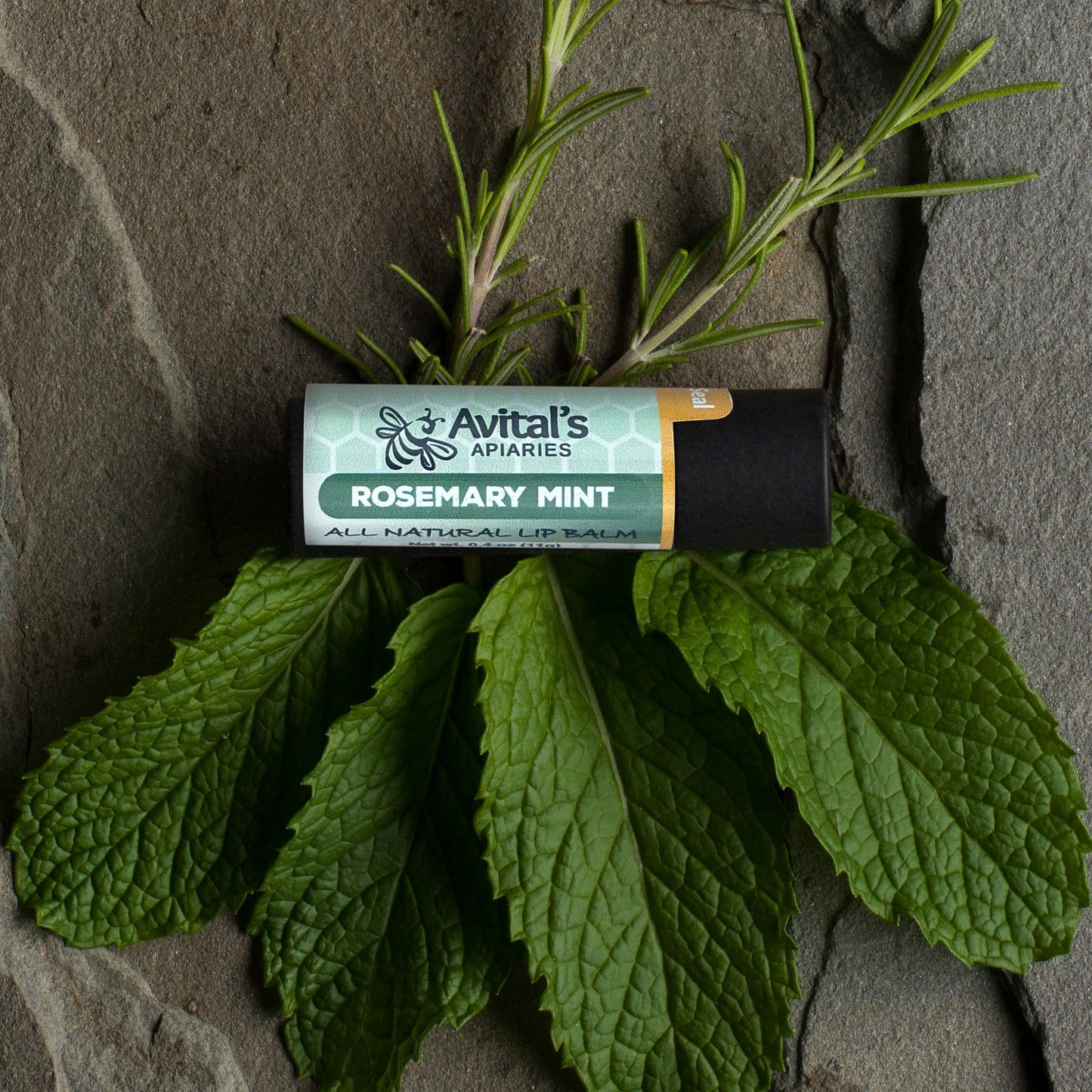 An eco-friendly paperboard tube of Rosemary Mint lip balm placed on a rock, surrounded by green leaves and a sprig of rosemary.