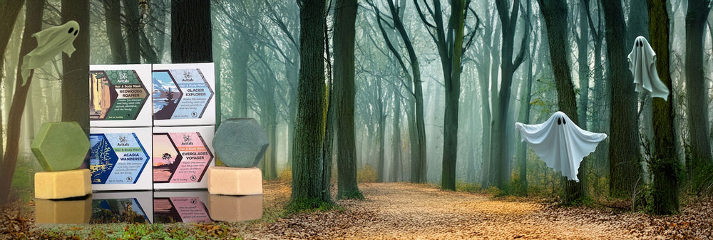 Ghostly figures in a forest with informational panels on a foggy day