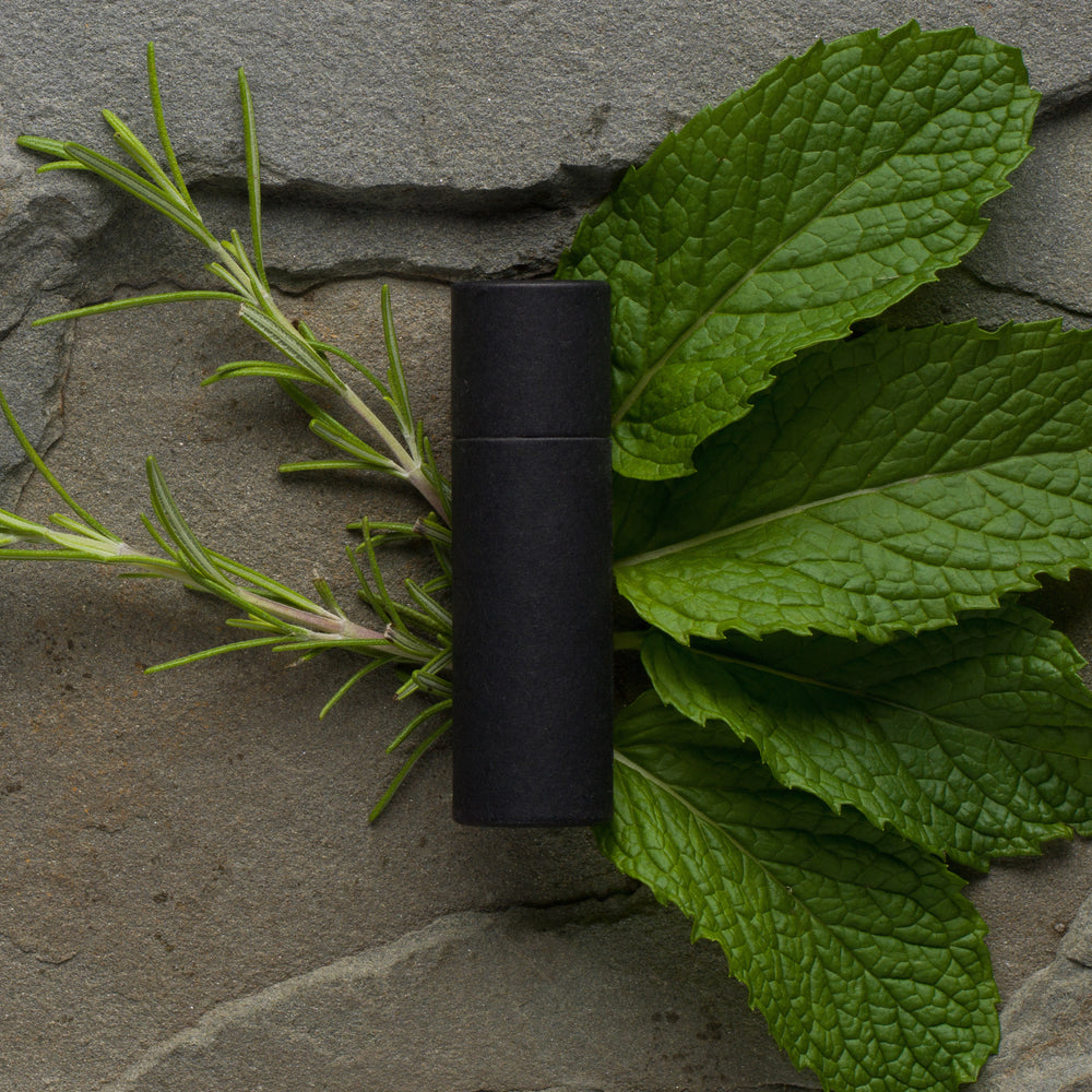 Rosemary Mint Lip Balm in Eco-Friendly Paperboard Tube