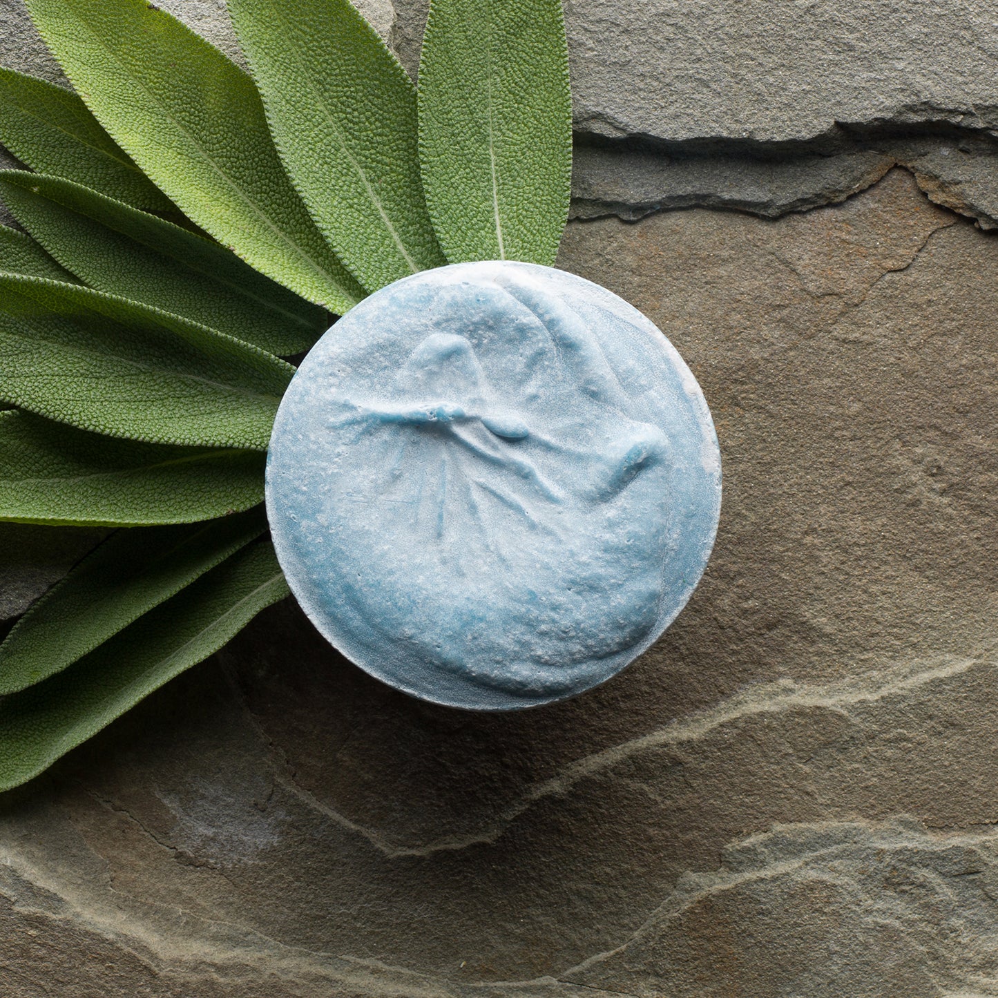 A bright blue round bar with a top that has fluid ripples and touches of white. A fan of sage leaves springs from the left side of the bar.