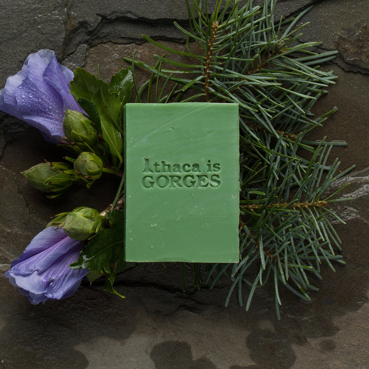 A green bar of soap with 'Ithaca is GORGES' stamped on it, presented with pine branches and purple flowers.